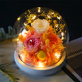 R-C Glass Cover Dried Flower Ornament Gift
