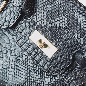 Snake Print Color Block Platinum Tote Bag
